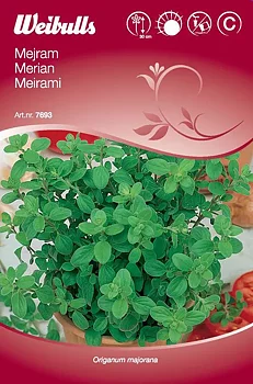 7693 Mejram    Origanum majorana