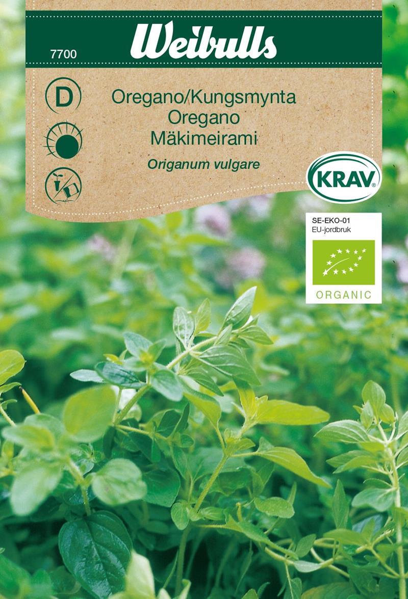 7700 Oregano KRAV/Ekologisk   Origanum vulgare