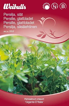 7717 Persilja slätbladig    Petroselinum crispum