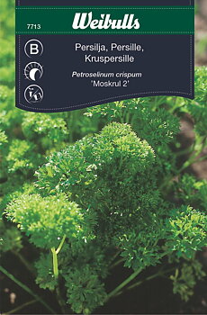 7713 Persilja, krus-  Petroselinum crispum