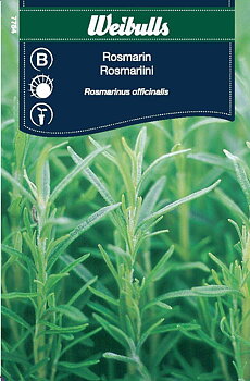 7754 Rosmarin  Rosmarinus officinalis