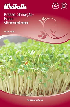 7615 Smörgåskrasse   Lepidium sativum