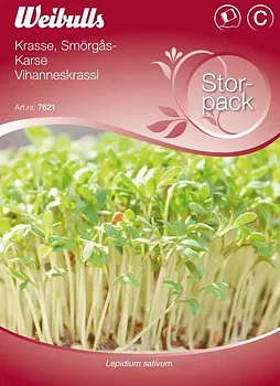 7621 Smörgåskrasse Storport.   Lepidium sativum