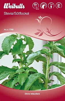 7760 Stevia, Sötflockel    Stevia rebaudiana
