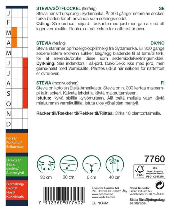 7760 Stevia, Sötflockel    Stevia rebaudiana - 2