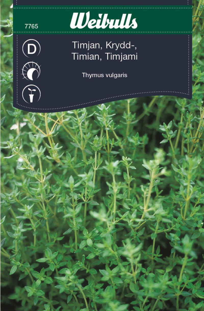 7765 Timjan    Thymus vulgaris