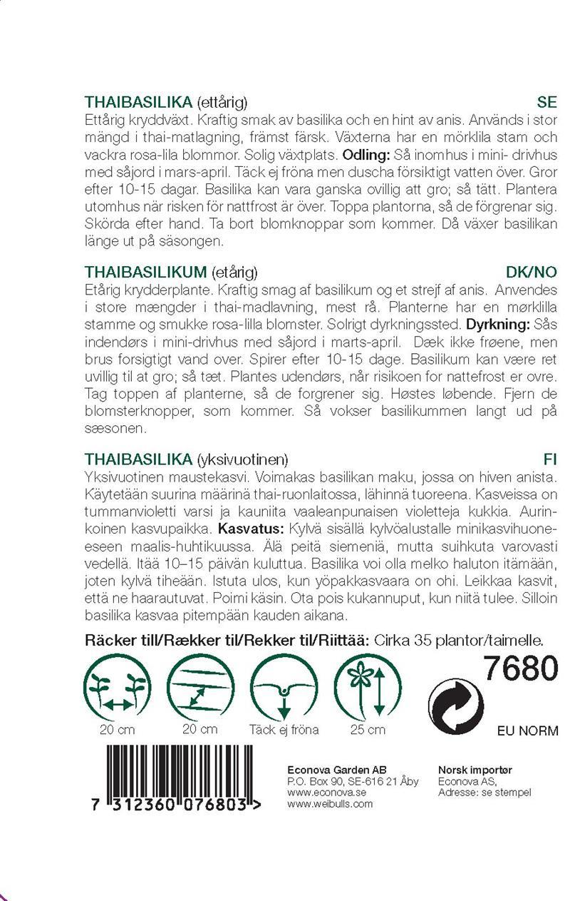 7680 Basilika, thai  Ocimum basilicum - 2