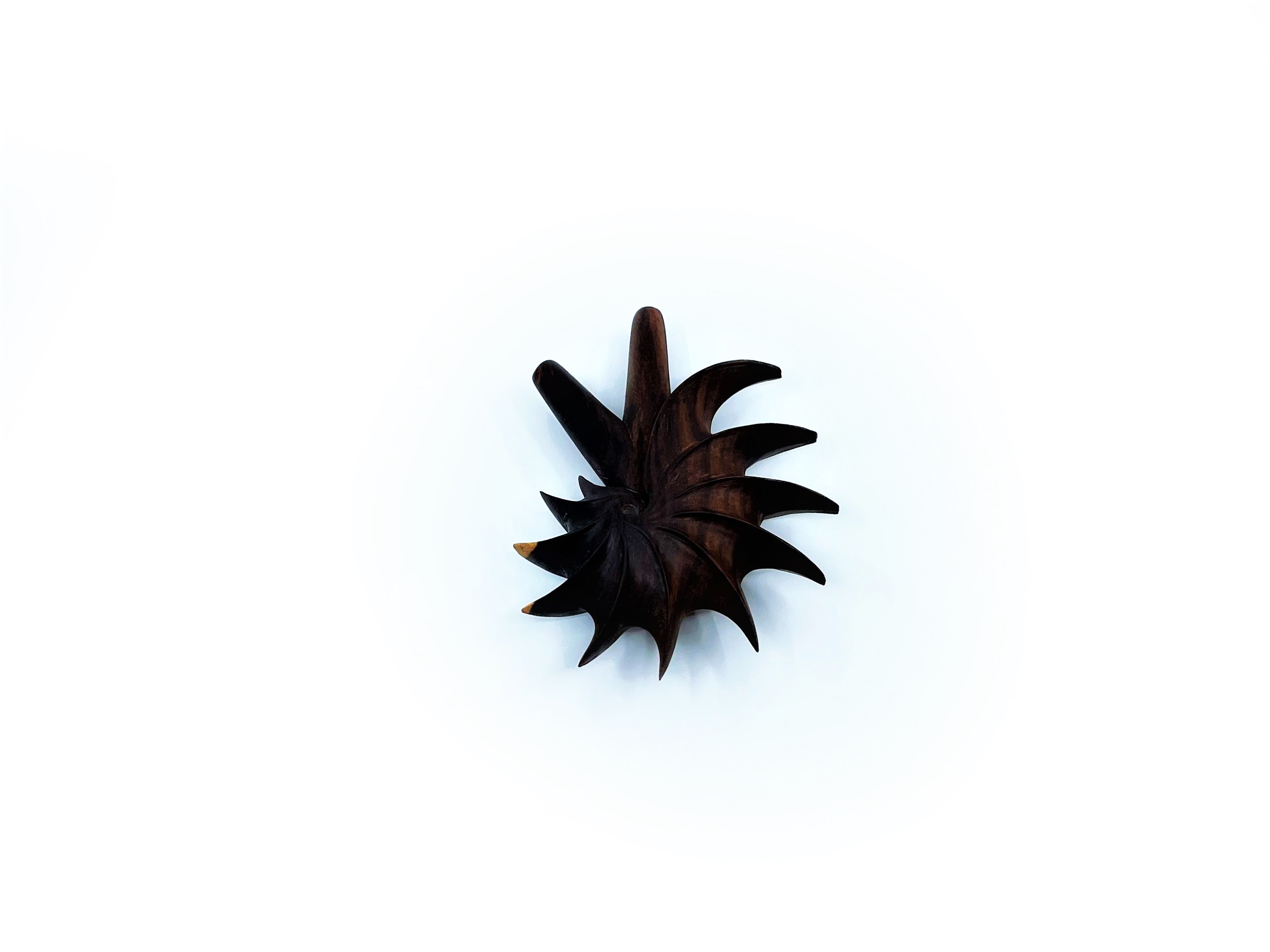 Fibonacci Kuripe - Sono Wood - 6