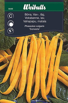 8449  Böna, vax, låg (gul)   Phaesolus vulgaris
