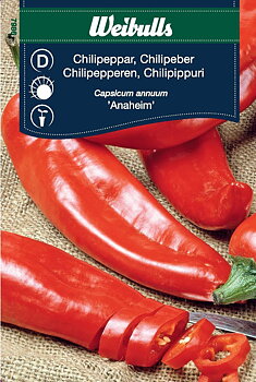 7986  Chili  Capsicum annuum