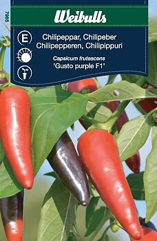 7985 Chili  Capsicum frutescens