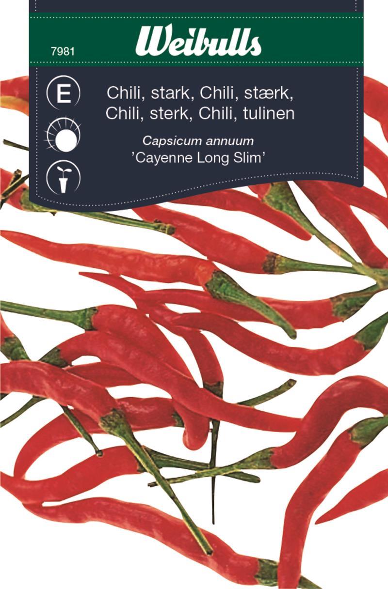 7981 Chili Capsicum annuum