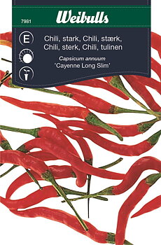 7981 Chili Capsicum annuum
