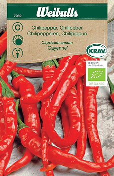 7989 Chili Cayenne Long slim Capsicum annuum