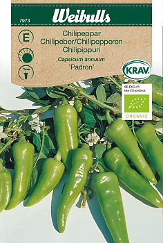 7973 Chilipeppar KRAV (röd)   Capsicum annuum