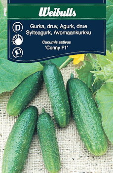 8042 Gurka Conny F1