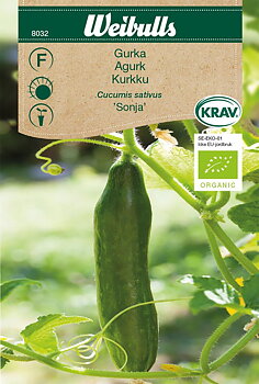8032 Gurka KRAV  Cucumis sativus