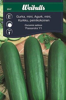 8047 Gurka Mini - för växthus (grön)  Cucumis sativus