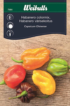 7984 Habanero colormix  Capsicum Chinense