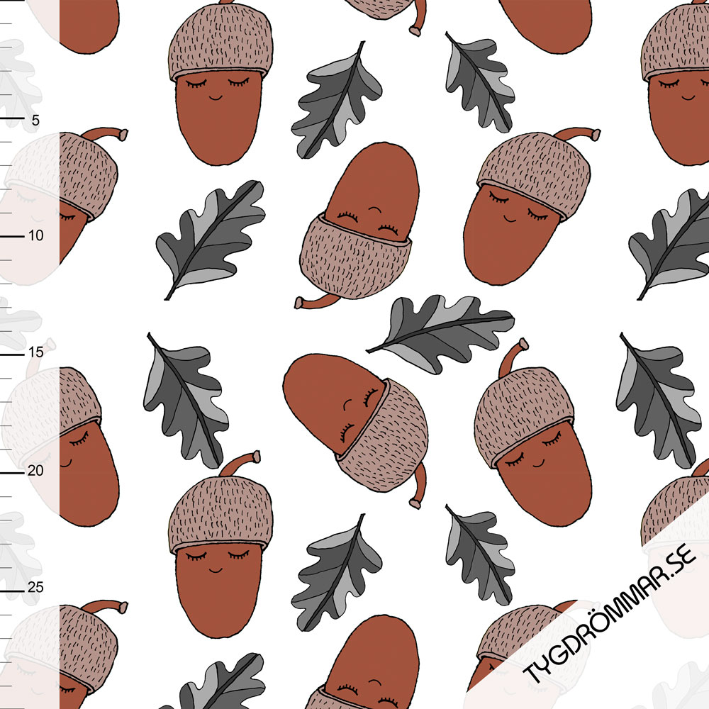 ACORN