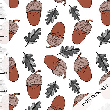 ACORN