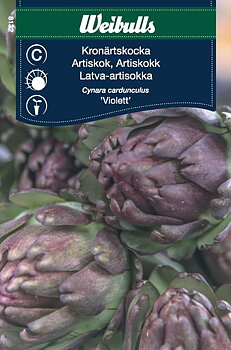 8132  Weibulls Kronärtskocka Violett