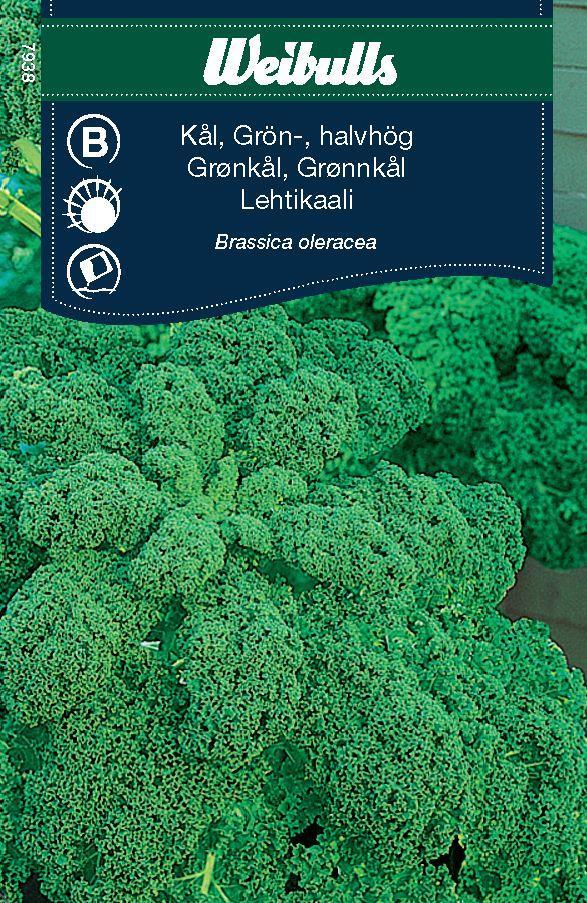 7938 Kål, grön halvhög  Brassica oleracea