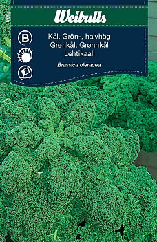 7938 Kål, grön halvhög  Brassica oleracea