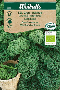 7936 Kål, grön- KRAV  Brassica oleracea
