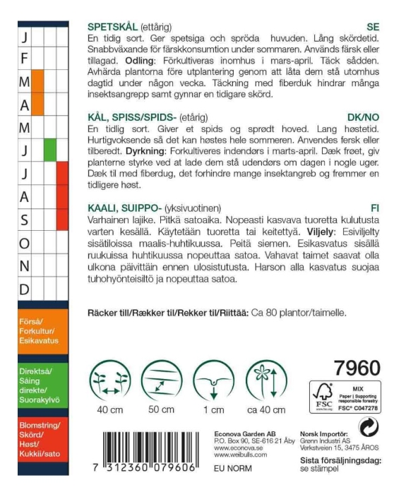 7960 Kål, Spets- Brassica oleracea capitata alba - 2