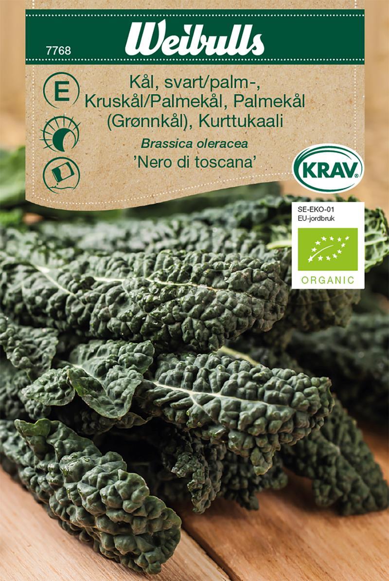 7768 Kål, svart/palm- KRAV   Brassica oleracea