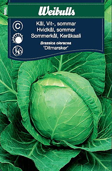 7958 Kål, vit sommar   Brassica oleracea