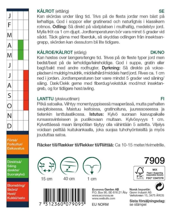 7909 Kålrot   Brassica napus - 2