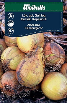 7778 Lök, Gul   Allium cepa