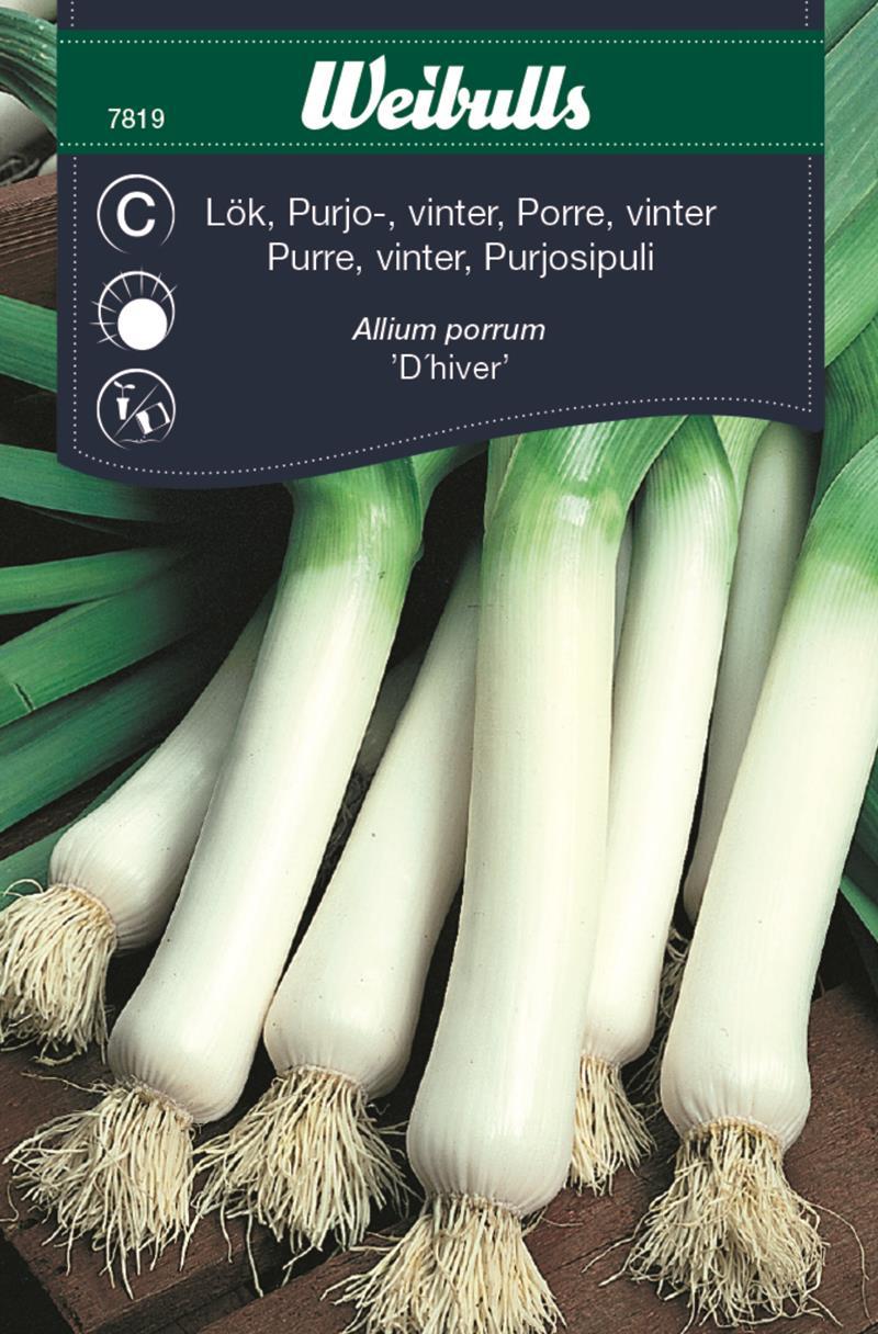 7819 Lök, Purjolök, vinter   Allium porrum