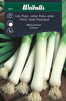 7819 Lök, Purjolök, vinter   Allium porrum