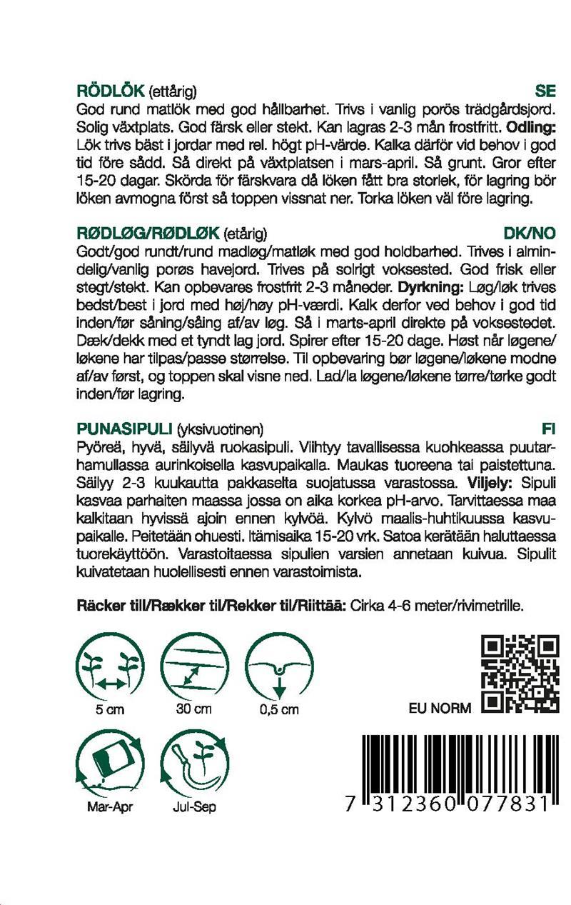 7783 Lök, Röd   Allium cepa - 2