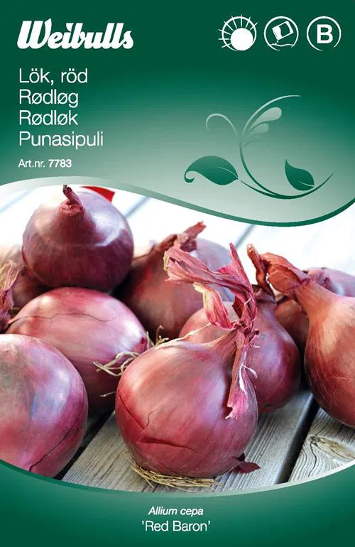 7783 Lök, Röd   Allium cepa