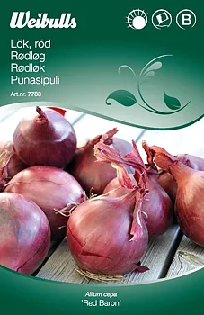 7783 Lök, Röd   Allium cepa