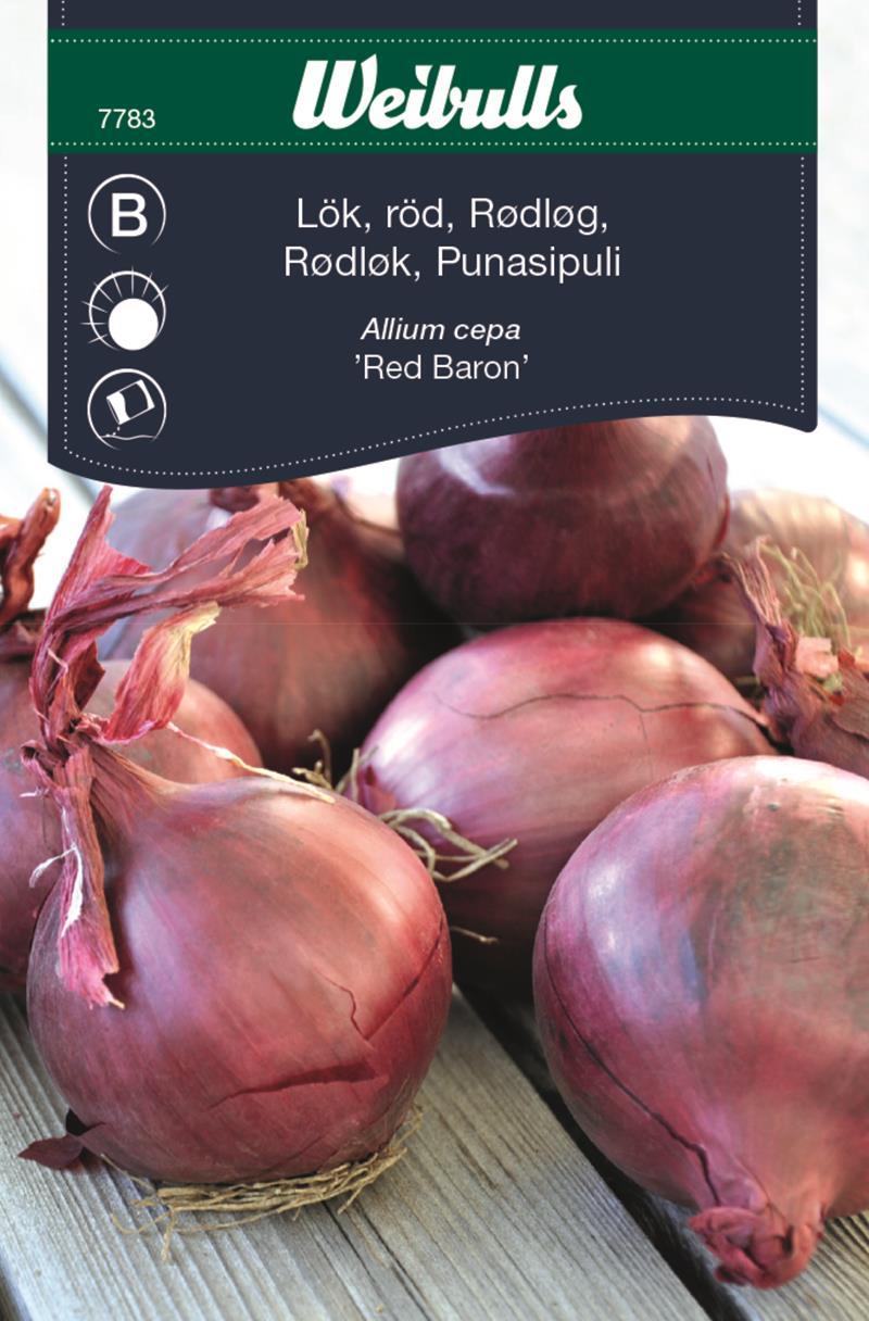 7783 Lök, Röd   Allium cepa - 3