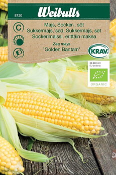 8720, Weibulls Majs, socker-, extra söt KRAV Golden bantam   Zea mays
