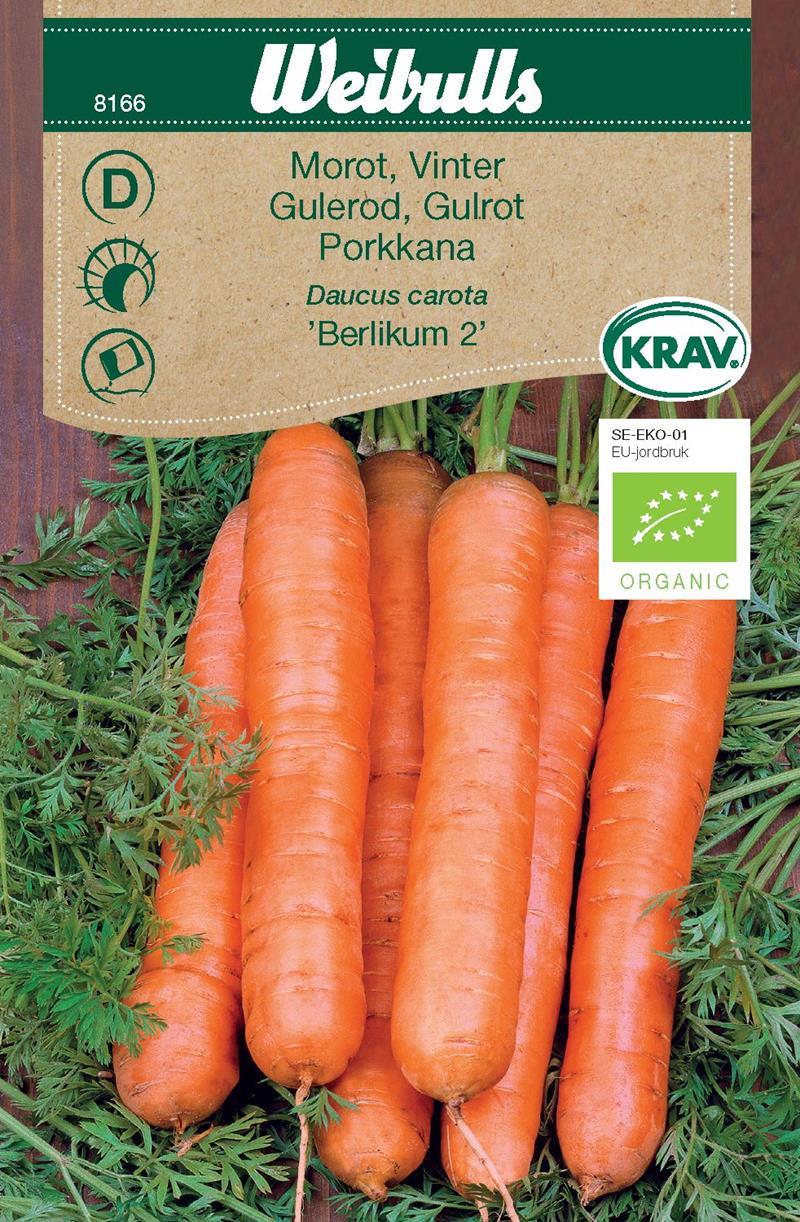 8166, Morot KRAV Berlikum 2    Daucus carota