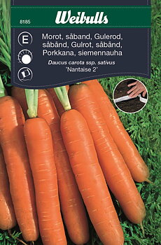 8185 Morot såband, sommar (orange)  Daucus carota ssp. sativus