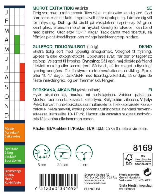 8169 Morot, extra tidig  Daucus carota ssp. sativus - 2
