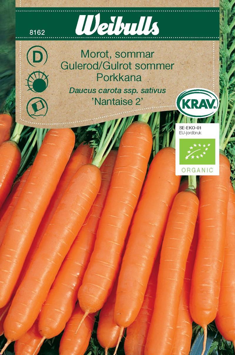 8162, Morot Sommar KRAV   Daucus carota ssp. sativus