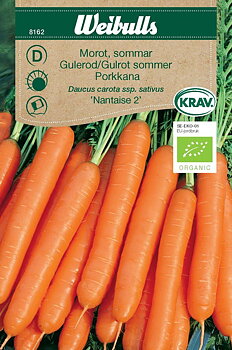 8162, Morot Sommar KRAV   Daucus carota ssp. sativus