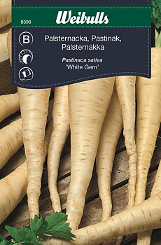 8396 Palsternacka  Pastinaca sativa
