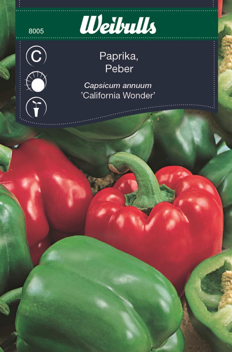 8005 Paprika (blandning)   Capsicum annuum