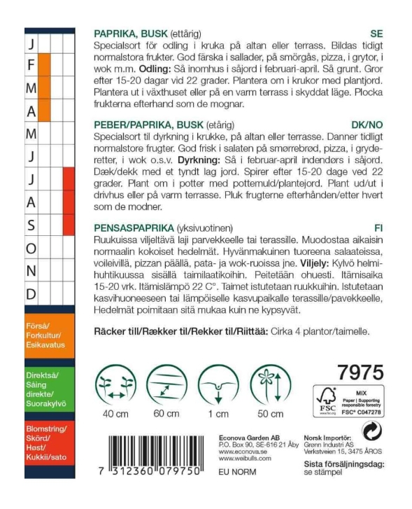 7975 Paprika busk   Capsicum annuum - 2