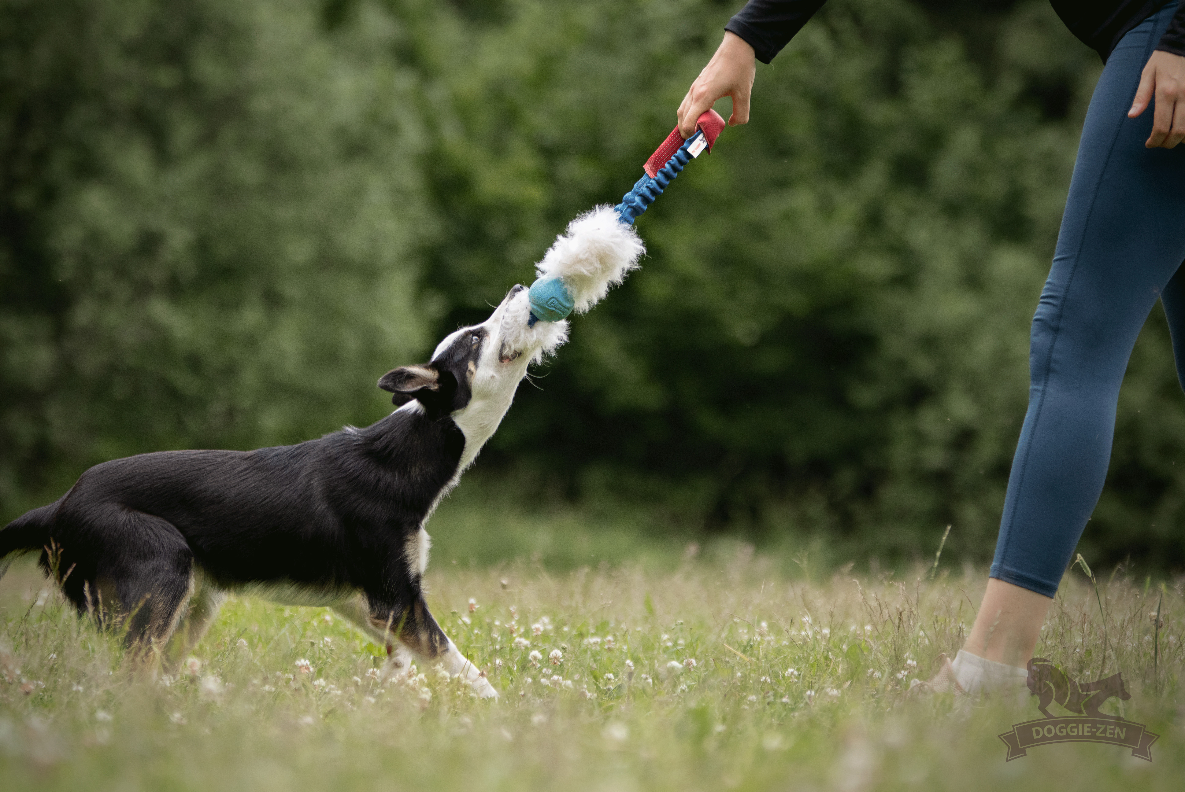 Bungee Sheepskin Tube Ring with Chuckit - 5